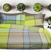 AGAVE7242
