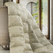 PREMIUM_dis2208_V1